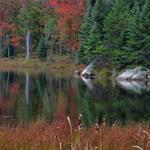 New York Lake in the Rain 1