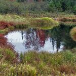 Scenic New York Pond