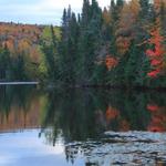 Lake in Ellis, New Hampshire