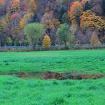 New Hampshire Pasture 2