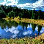 New Hampshire Pond