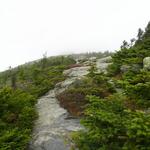 Mt Mansfield 2