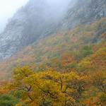 Smuggler's Notch  3