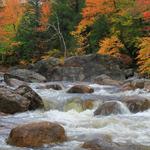 Stream in Vermont