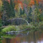 Vermont Lake in Fall 