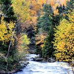 Stream in Maine