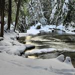 Maryland River in Winter