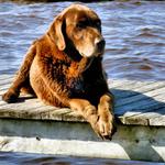 Sittin on the Dock 'O the Bay