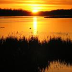 Lake Lansing Sunrise
