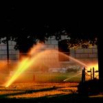 Watering the capitol at sunset