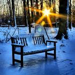 Sunset Bench