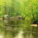 Dave's Falls  4