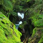 Avalanche Canyon Falls 1