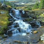 Waterfall at Logan's Pass 5