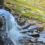 Waterfall at Logan's Pass 6