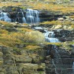 Waterfall at Logan's Pass 8