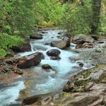 Avalanche Canyon Falls 10