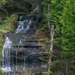 Alger Falls in Spring