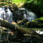 Chapel Falls in Summer