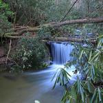 King Creek Falls 4