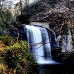 Looking Glass Falls 2