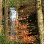 Moore's Cove Falls 4