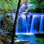 Brasstown Falls 7