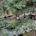 Bridge at Broke Leg Falls hdr 1