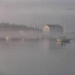 Foggy Morn in Grand Marais Minnesota 1