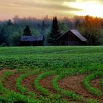 Wisconsin Farm at Sunrinse