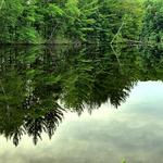 Wisconsin River Reflections 1