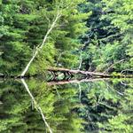 Wisconsin River Reflections 2