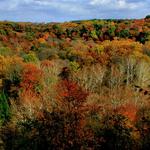 Tinker Creek Gorge 1