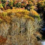 Tinker Creek Gorge 2