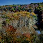 Tinker Creek Gorge 3