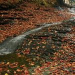 Bridal Veil Falls, Cuyhoga Valley 2