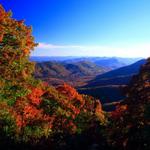 Pink Beds in the Shenandoah