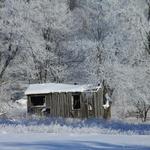 West Virginia Shack in WInter