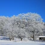 West Virginia Shack in Winter 2