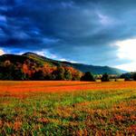 Cade's Cove 1