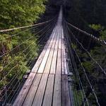 Bridge Featured in the movie "the Jungle Book"