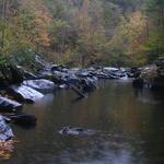 Tellico River in Autumn