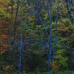 Tennessee Hills in Autumn