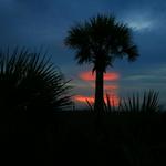 Edisto Island Beach Sunrise 4