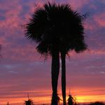 Edisto Island Beach Sunrise 6