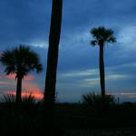 Edisto Island Beach Sunrise 8