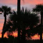 Edisto Island Beach Sunrise 9