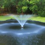 Alligator Pond Fountain