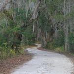 Swamp Road