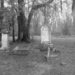 Sheldon Church Cemetery